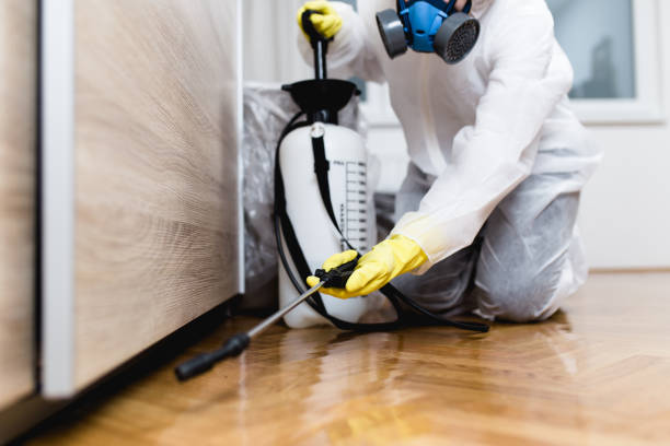 Best Best Pest Control Companies  in Mount Pocono, PA