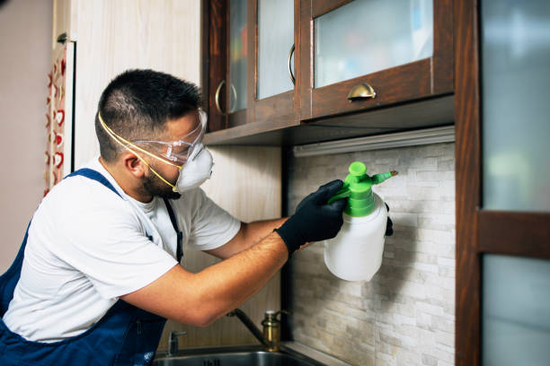 Best Wildlife Control Services  in Mount Pocono, PA