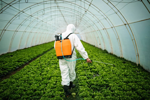 Pest Control for Restaurants in Mount Pocono, PA