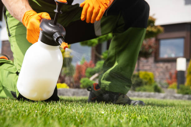Best Wasp Removal Services  in Mount Pocono, PA
