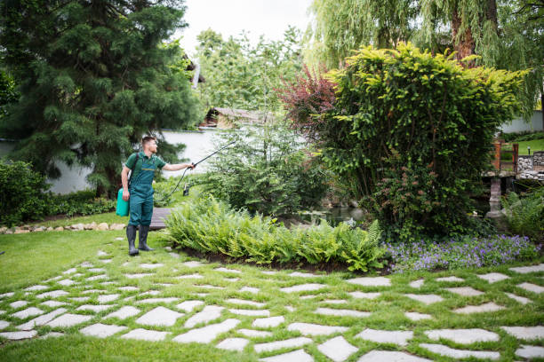 Best Exterminator Services  in Mount Pocono, PA