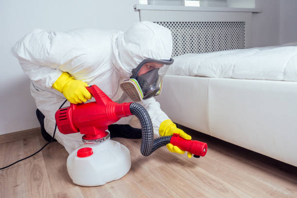 Best Pest Removal Services  in Mount Pocono, PA