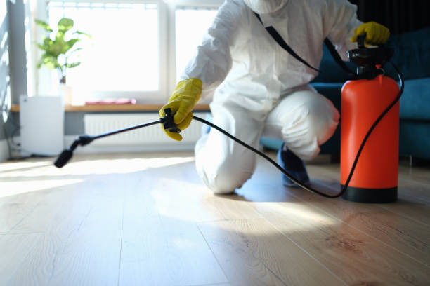 Flea Control Services in Mount Pocono, PA