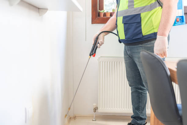 Best Wasp Removal Services  in Mount Pocono, PA